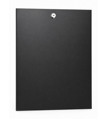 12U zijpaneel voor 10" serverkasten - 450mm diep met slot